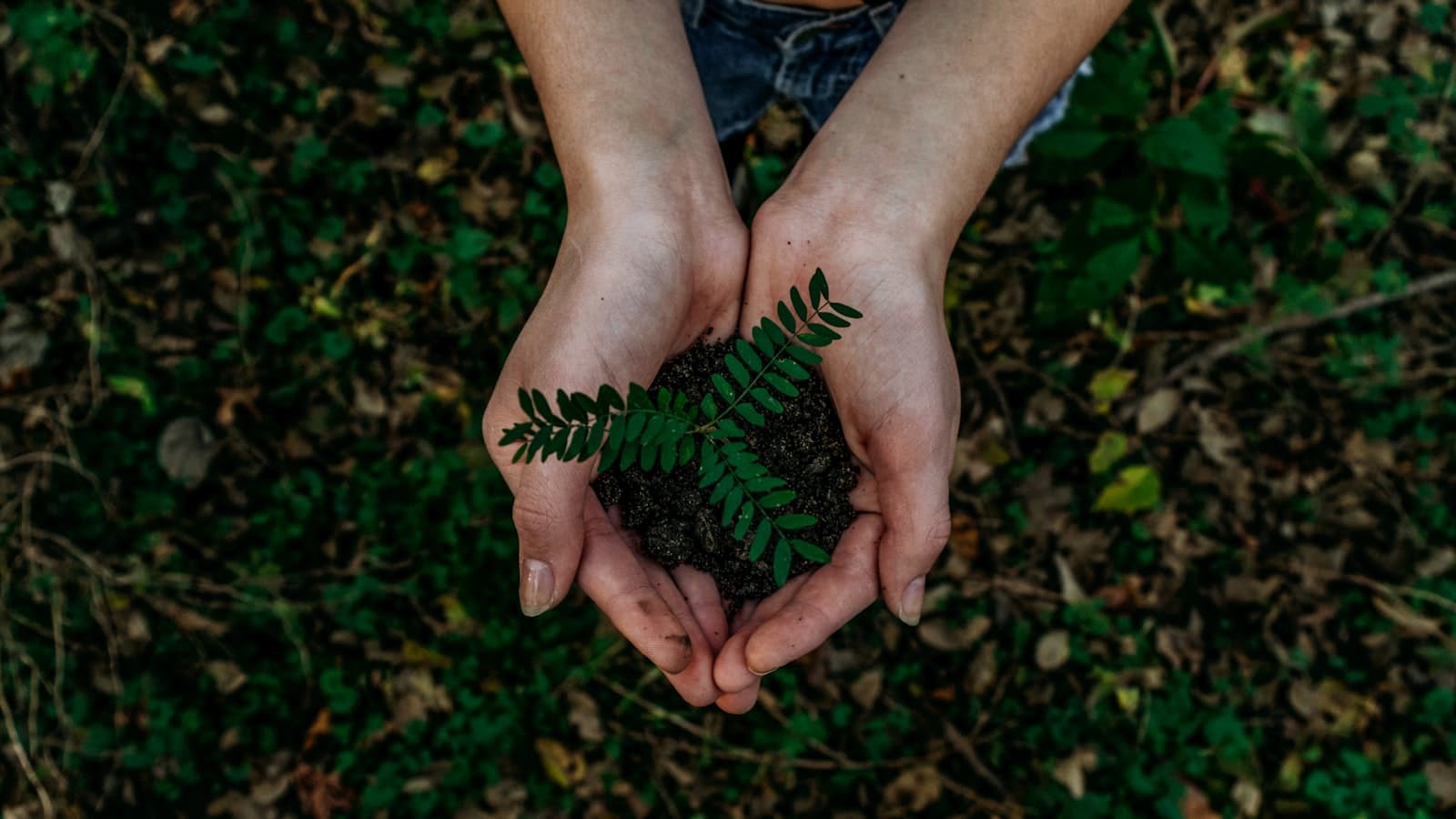 Green sustainable manufacturing